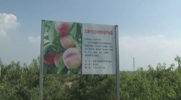 PG���ӡ�(�й���)�ٷ���վ